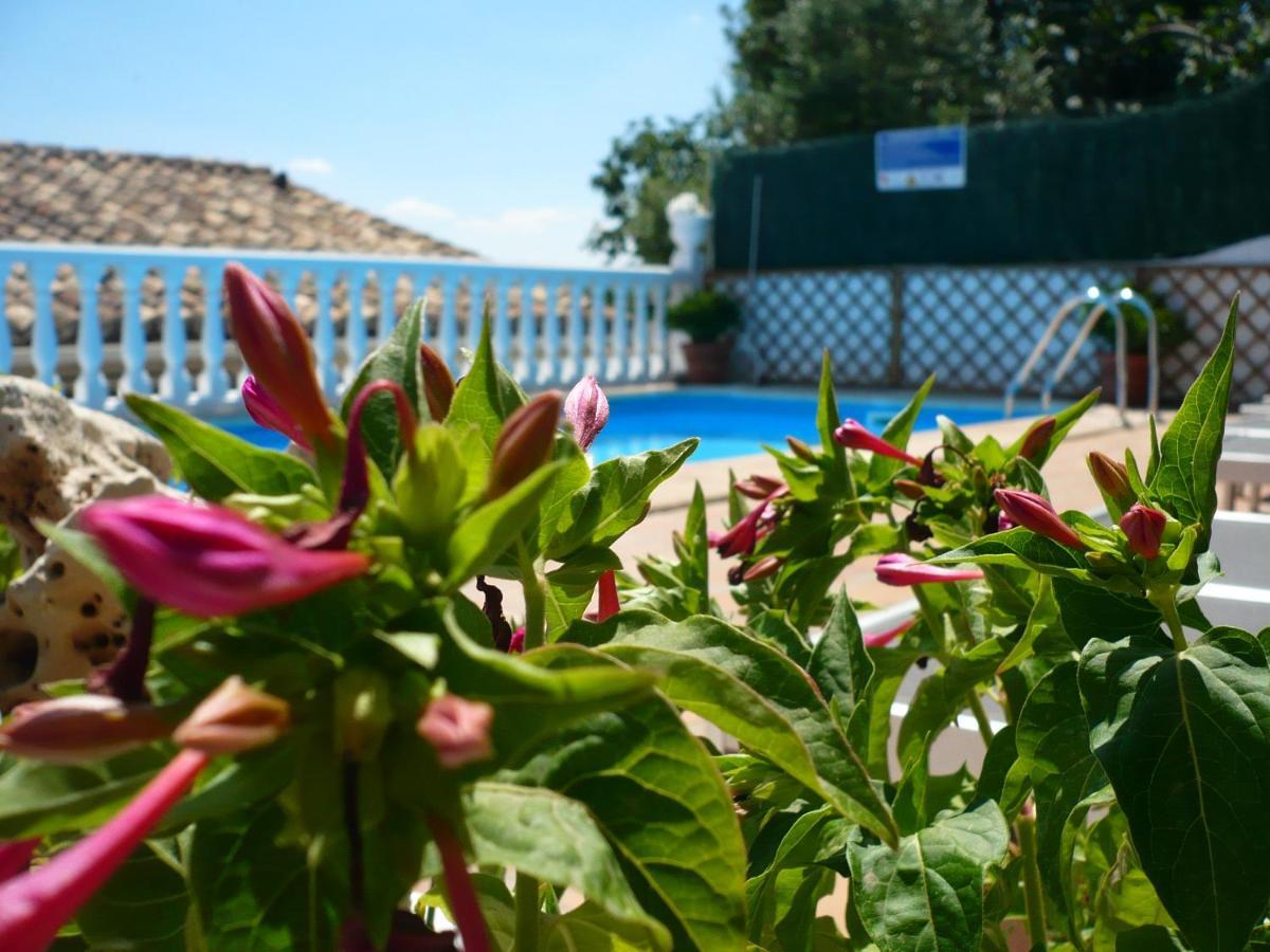 Hostal Rural Moratin Pastrana Exterior foto